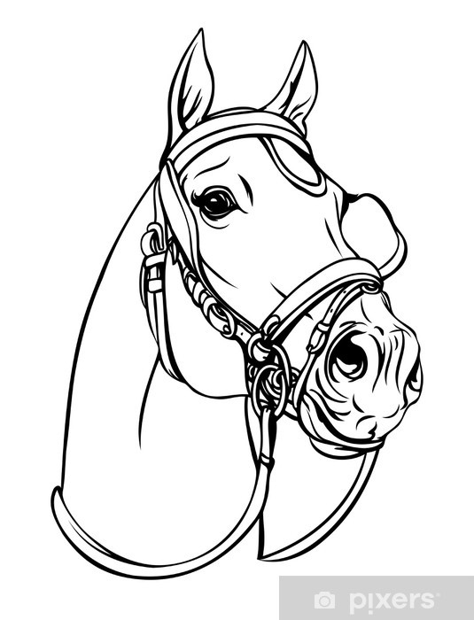 Horse Head Vector Art at Vectorified.com | Collection of Horse Head ...