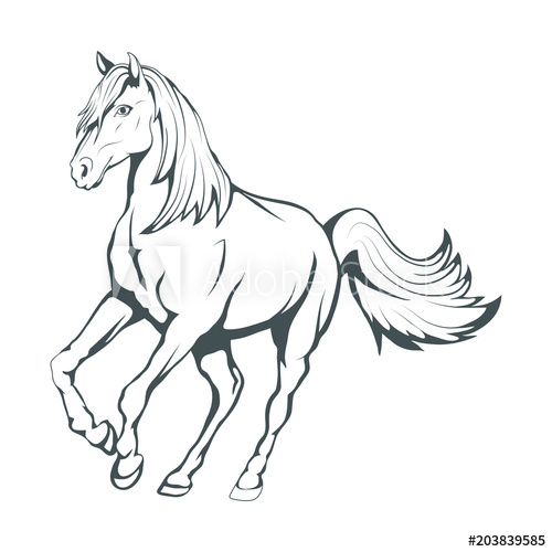500x500 Horse Hand Drawn Horse Sketch Of Horse Head Vector Artwork