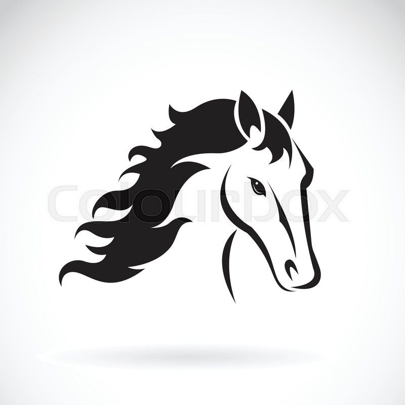 800x800 Vector Images Of Horse Head Design On Stock Vector Colourbox