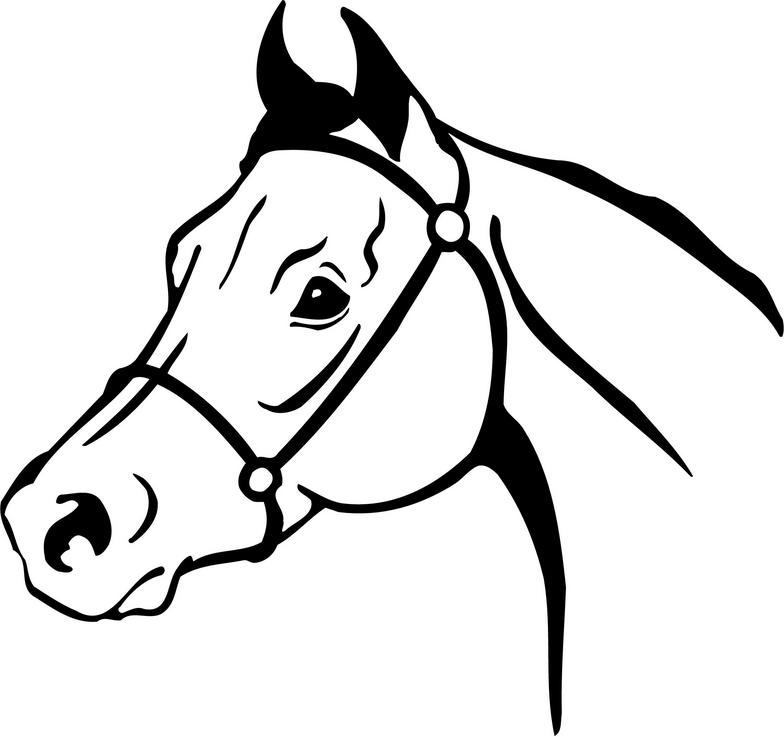784x737 Best Horse Head Clipart