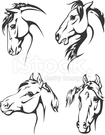 434x556 Black And White Illustrations Of Horse Heads Farm Name Ideas