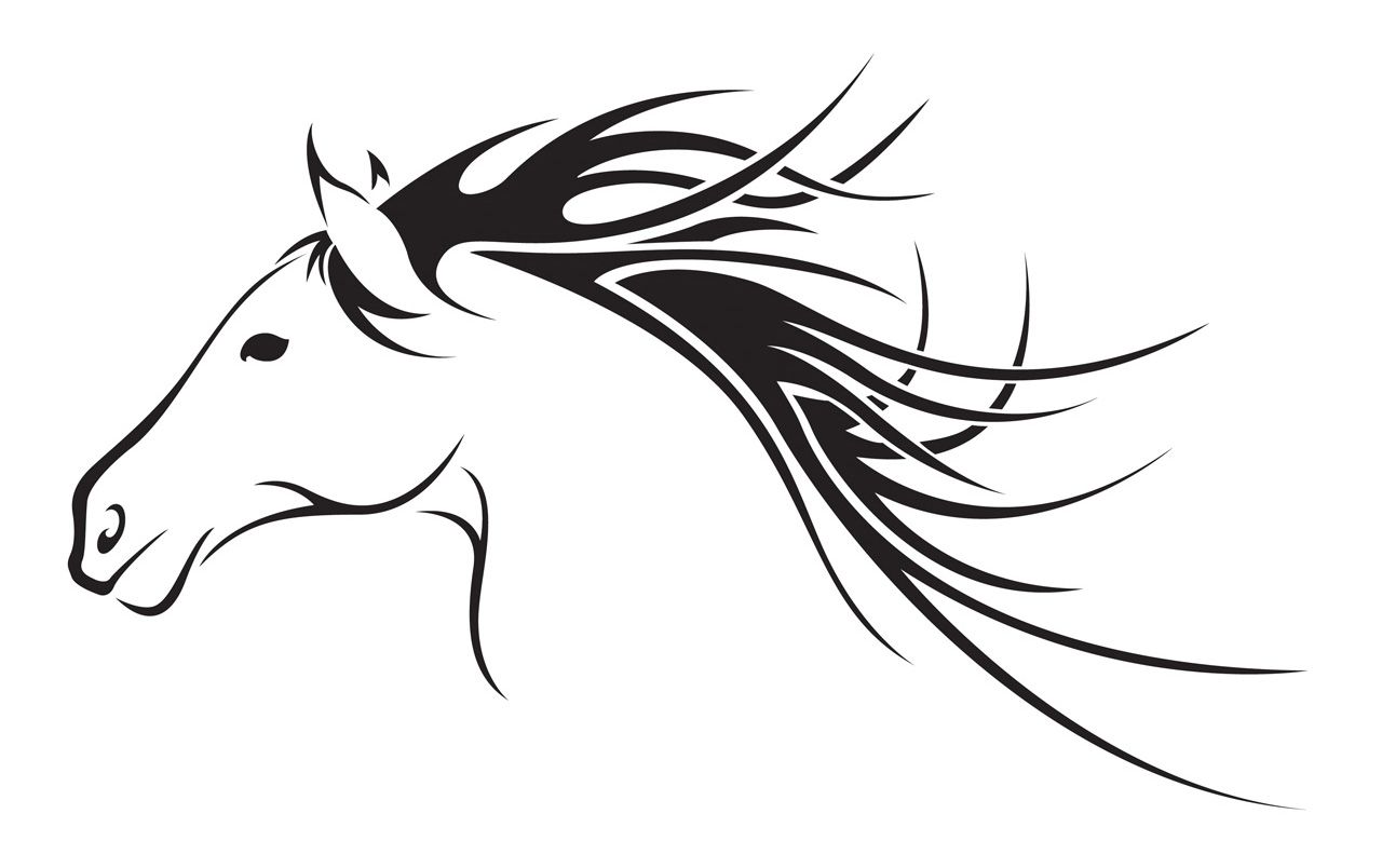 1280x804 Collection Of 'arabian Horse Head Silhouette' Download More Than