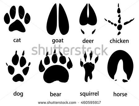 Horse Hoof Vector at Vectorified.com | Collection of Horse Hoof Vector ...