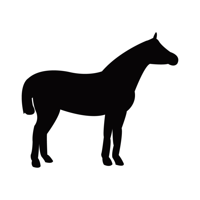 640x640 Horse Icon, Ranch, Horse, Single Png And Vector With Transparent
