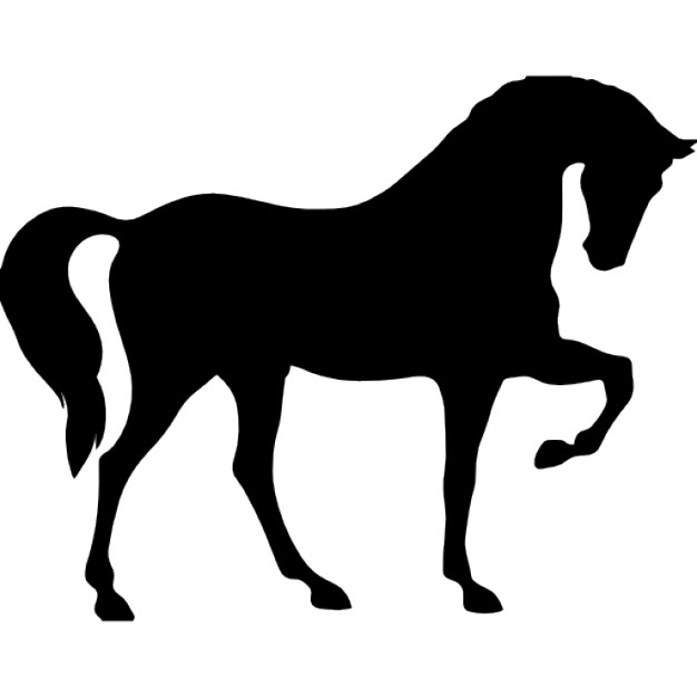 626x626 Horse Icon