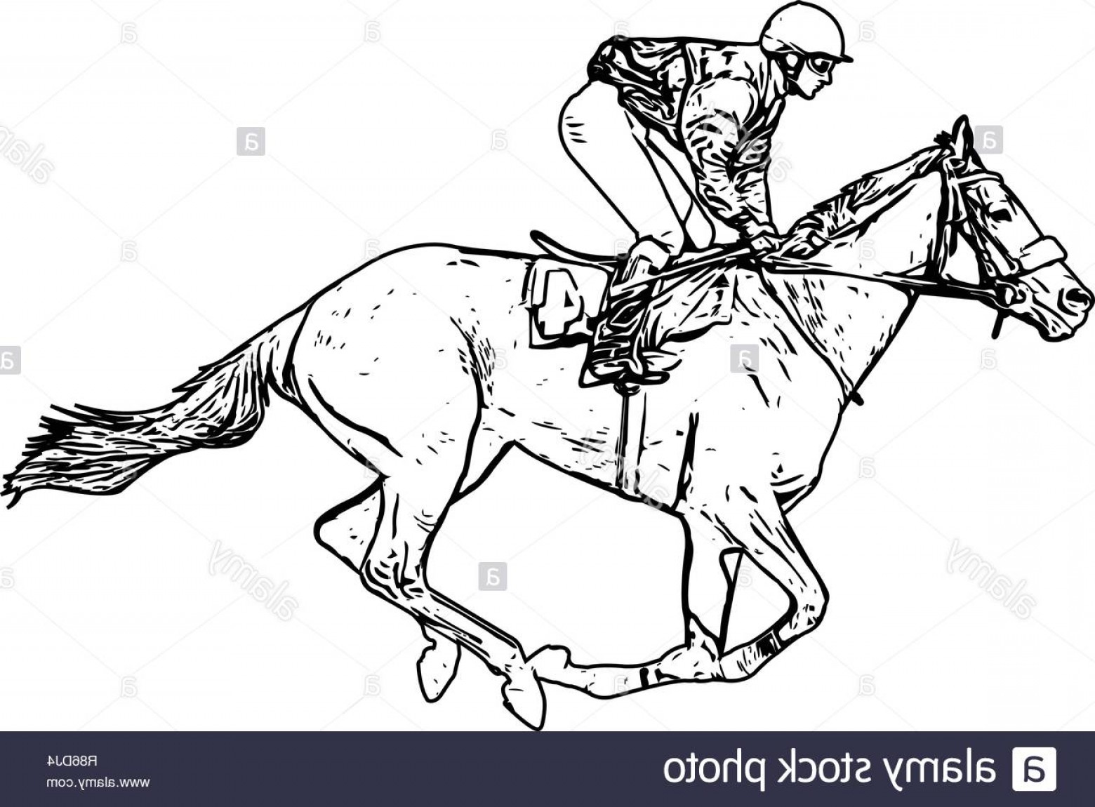 Horse Jockey Vector at Vectorified.com | Collection of Horse Jockey ...