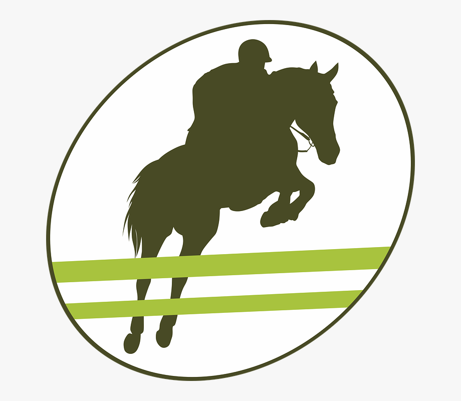 920x800 Jump, Obstacle, Equestrian, Horse, Equine, Jumper