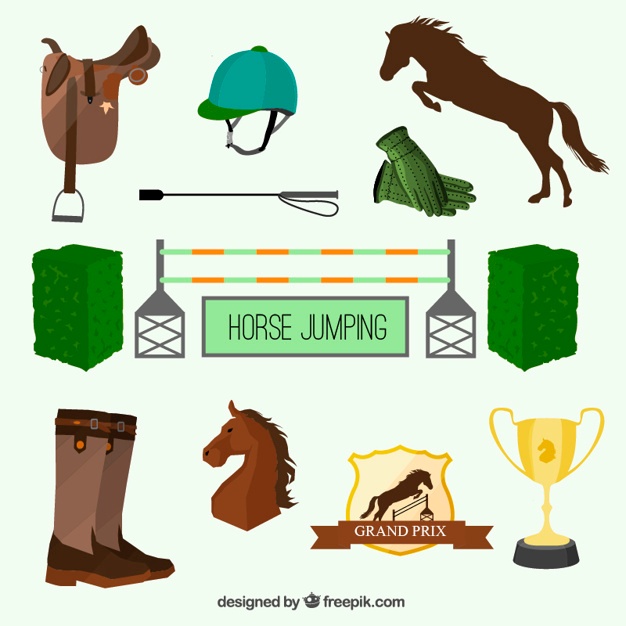 626x626 Jumping Horse Vectors, Photos And Free Download