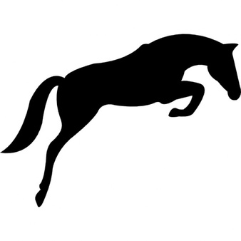 338x338 Silhouette Of Horse Jumping