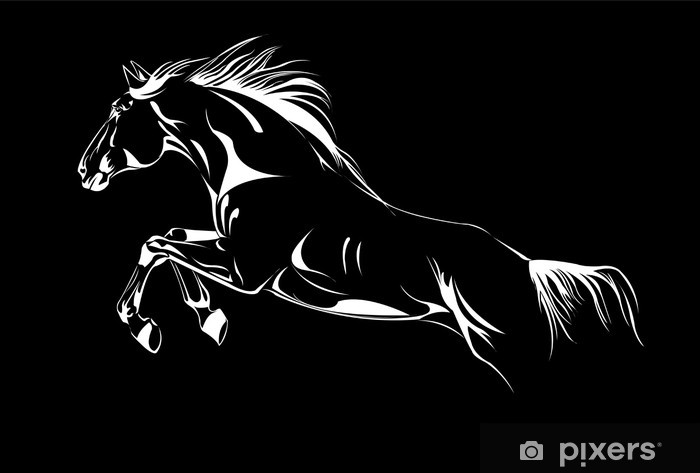 700x473 Horse Jumping On Black Vector Wall Mural
