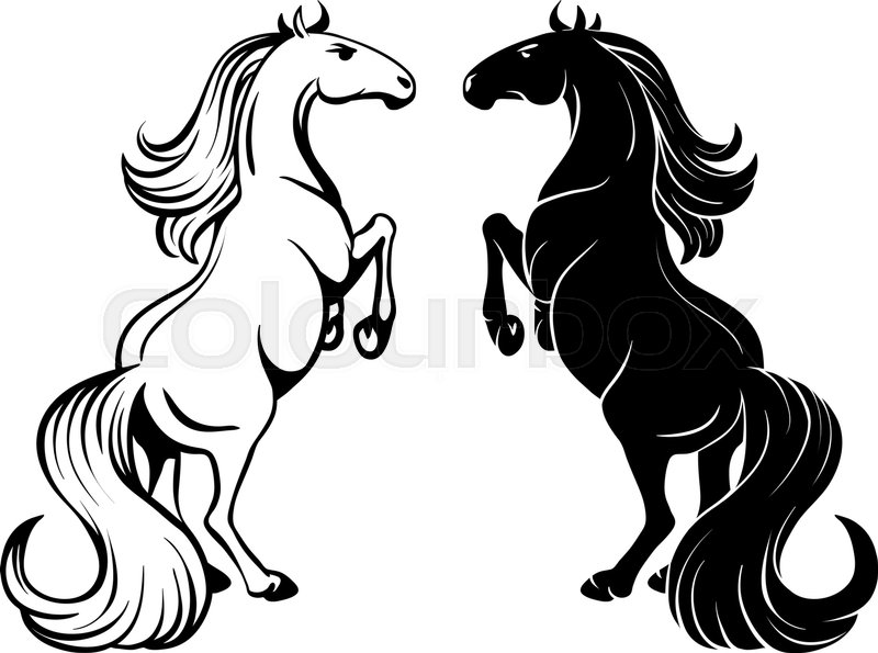 Isolated Drawing Of A Rearing Horse 800x595 Isolated Drawing Of A Rearing Horse