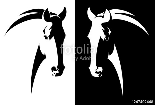 Horse Head Black And White Simple Vector Outline 500x339 Horse Head Black And White Simple Vector Outline