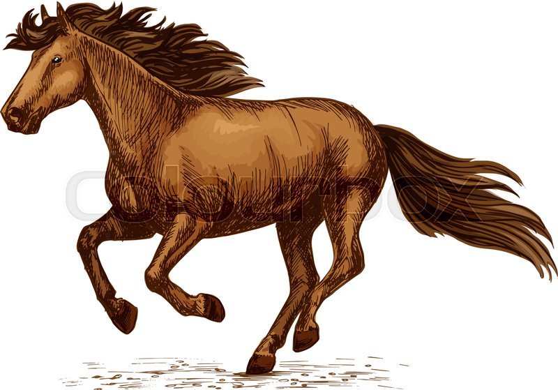 Horse Racing Vector Sketch Arabian Stock Vector Colourbox 800x559 Horse Racing Vector Sketch Arabian Stock Vector Colourbox