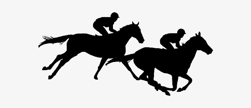 Adults Race Night 820x354 Adults Race Night