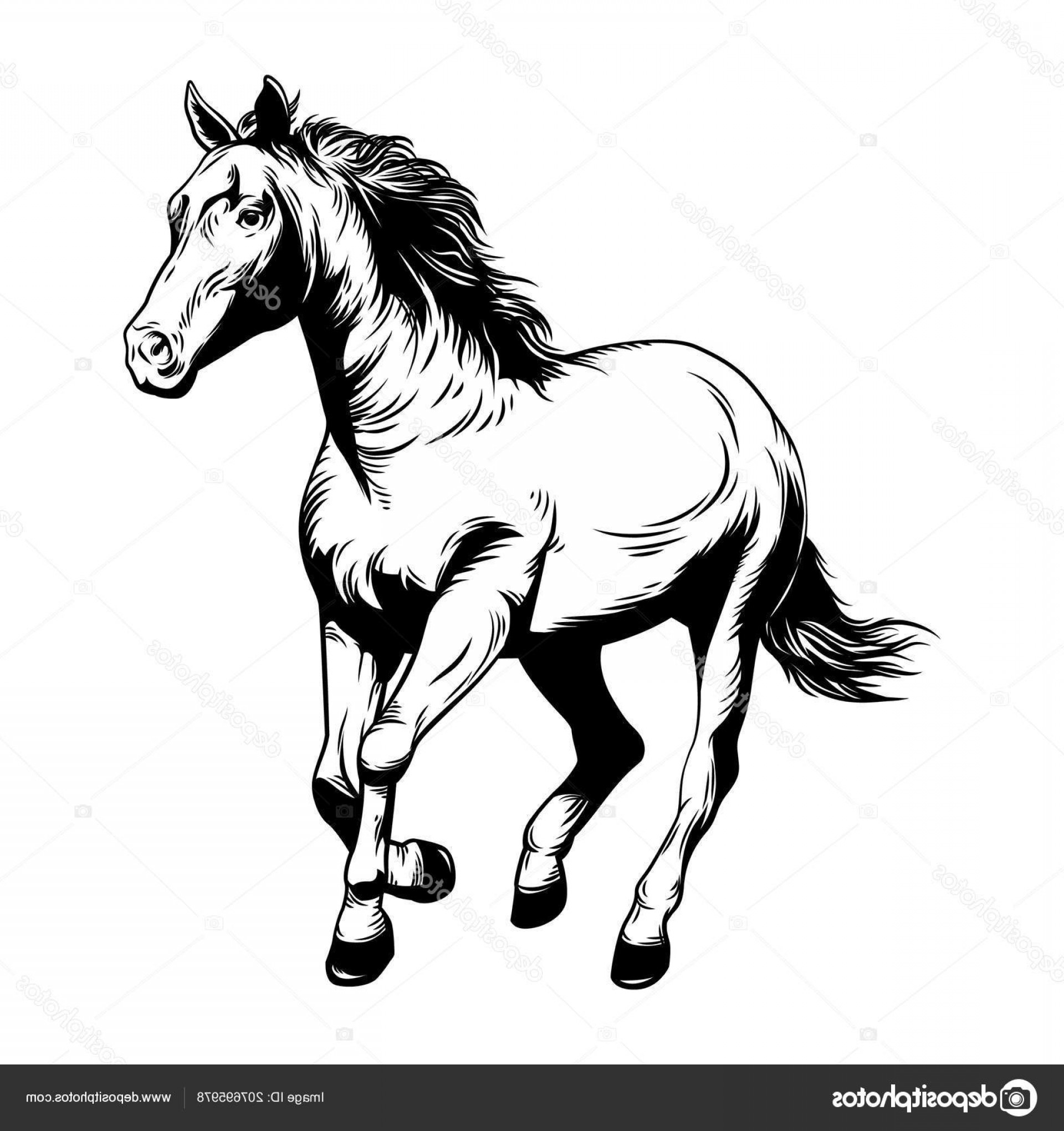 Stock Illustration Horse Vector Illustration Horse Racing 1920x2040 Stock Illustration Horse Vector Illustration Horse Racing