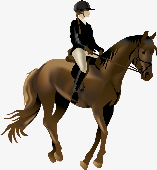 Download Horse Riding Vector at Vectorified.com | Collection of Horse Riding Vector free for personal use