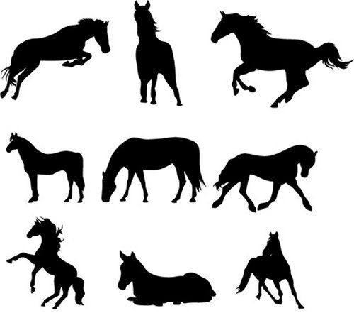 Horse Silhouette Vector