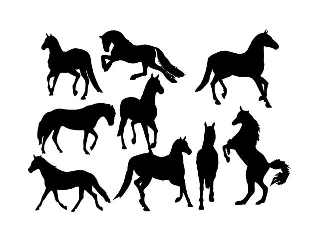 Free Horses Silhouette Vector 637x490 Free Horses Silhouette Vector