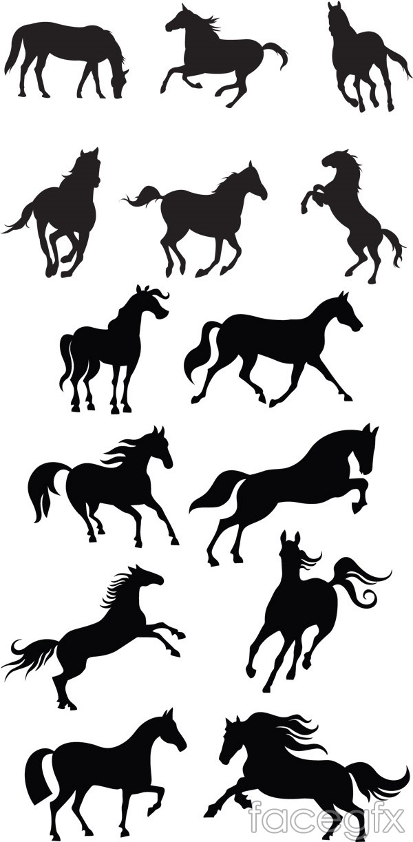 Galloping Horse Silhouette Vector Over Millions Vectors, Stock 600x1223 Galloping Horse Silhouette Vector Over Millions Vectors, Stock