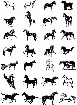 Horse Free Vector Download 269x368 Horse Free Vector Download
