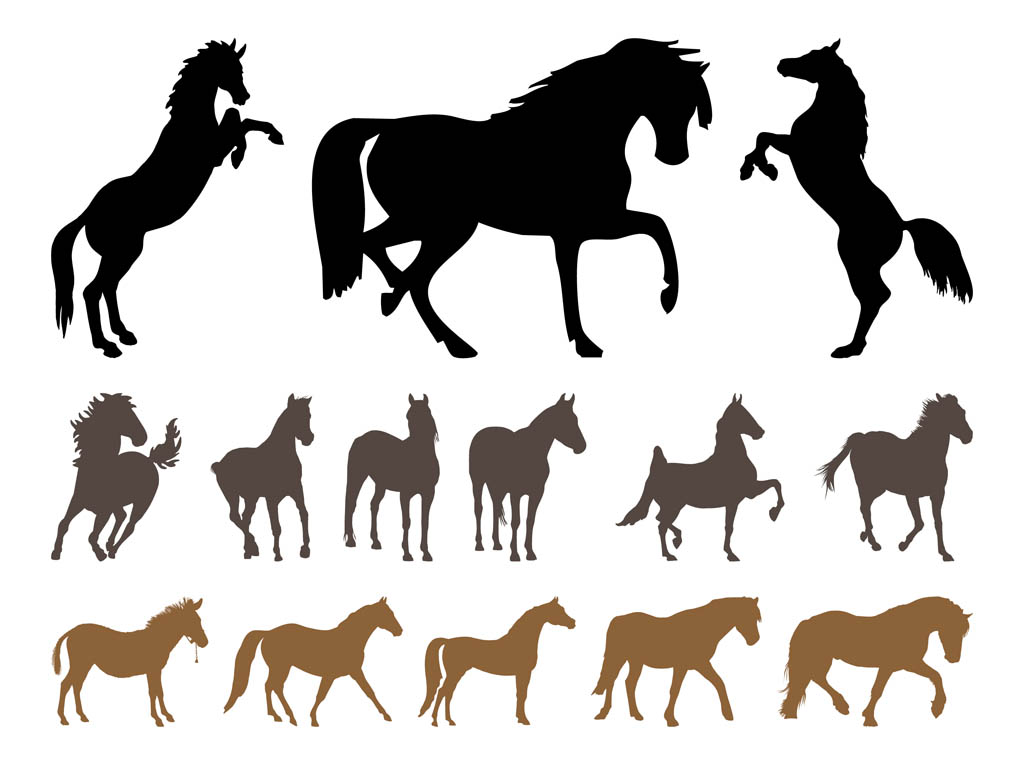 Horses Silhouette Set Vector Art Graphics 1024x765 Horses Silhouette Set Vector Art Graphics