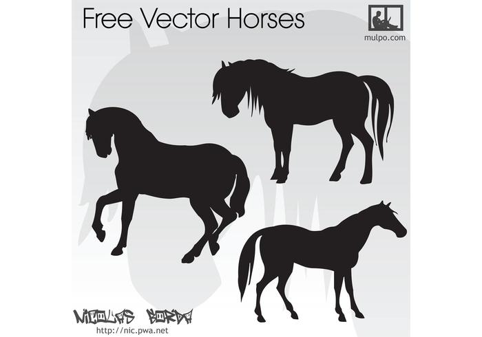Vectors Of Horses Pony Free Vector Graphics Everypixel 700x490 Vectors Of Horses Pony Free Vector Graphics Everypixel