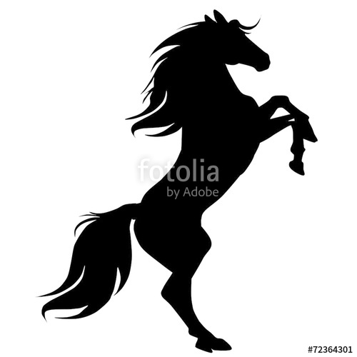 Black Horse Silhouette Stock Image And Royalty Free Vector 500x500 Black Horse Silhouette Stock Image And Royalty Free Vector