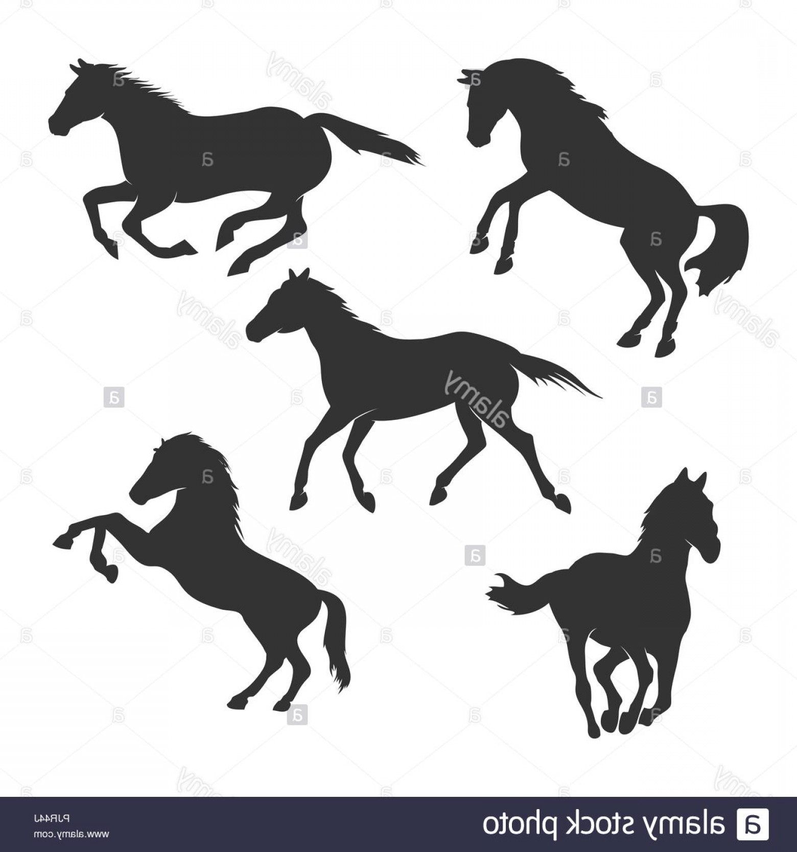 Beautiful Horse Silhouette Vector Graphic Design Template Set 1560x1668 Beautiful Horse Silhouette Vector Graphic Design Template Set