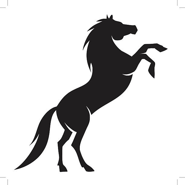 Horse Tail Vector at Vectorified.com | Collection of Horse Tail Vector