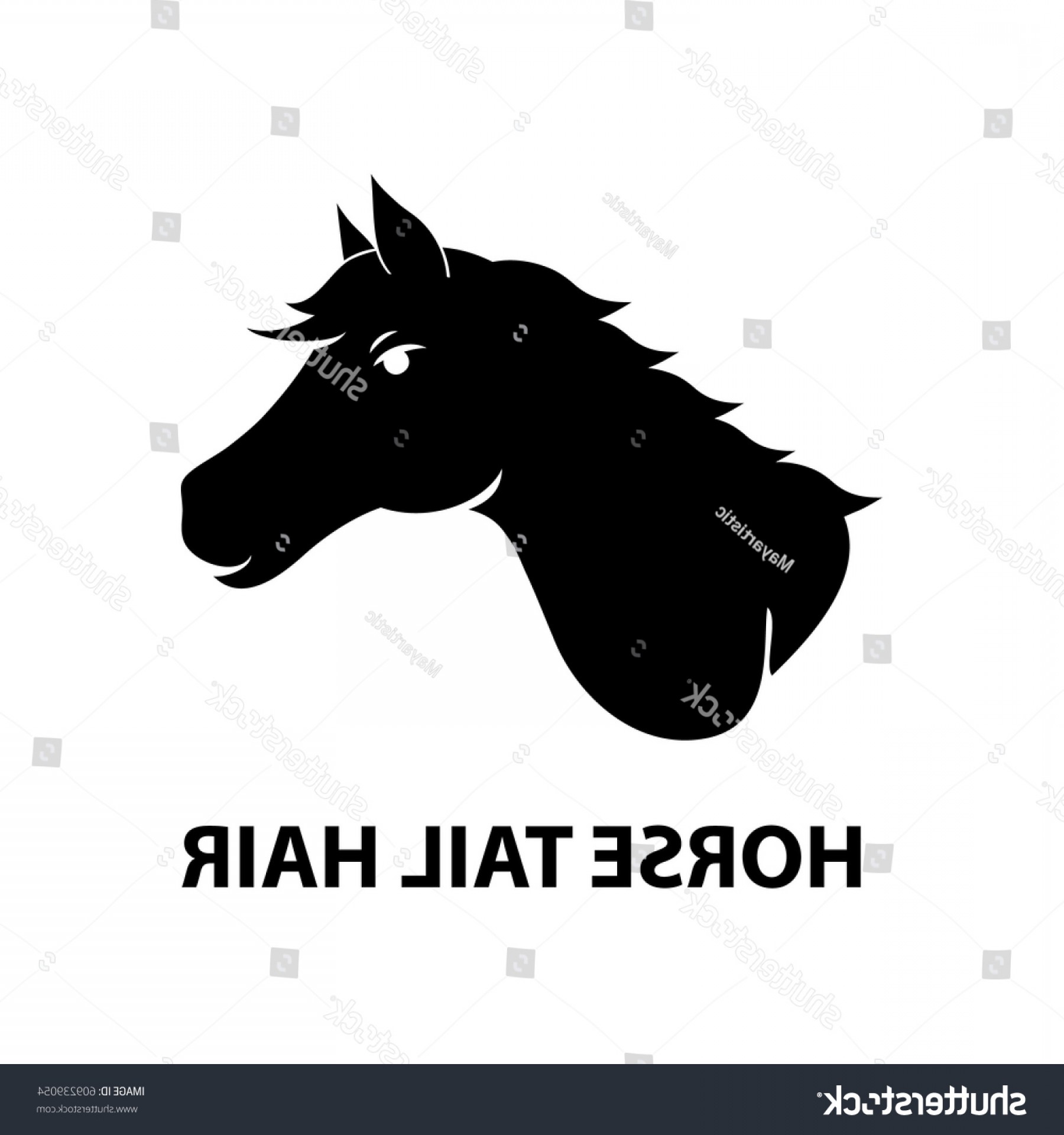 Horse Tail Hair Vector Illustration Geekchicpro 1800x1920 Horse Tail Hair Vector Illustration Geekchicpro