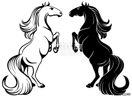 Isolated Drawing Of A Rearing Horse 500x370 Isolated Drawing Of A Rearing Horse