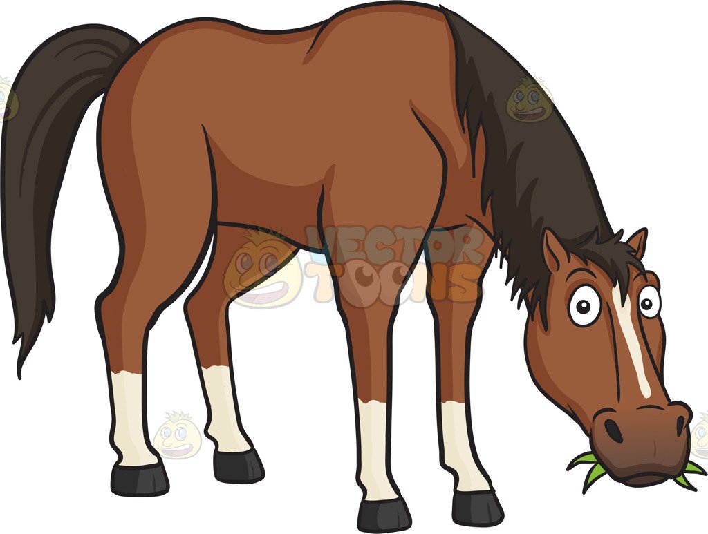 Free Collection Of Tail Clipart Horse Tail Download Transparent 1024x773 Free Collection Of Tail Clipart Horse Tail Download Transparent