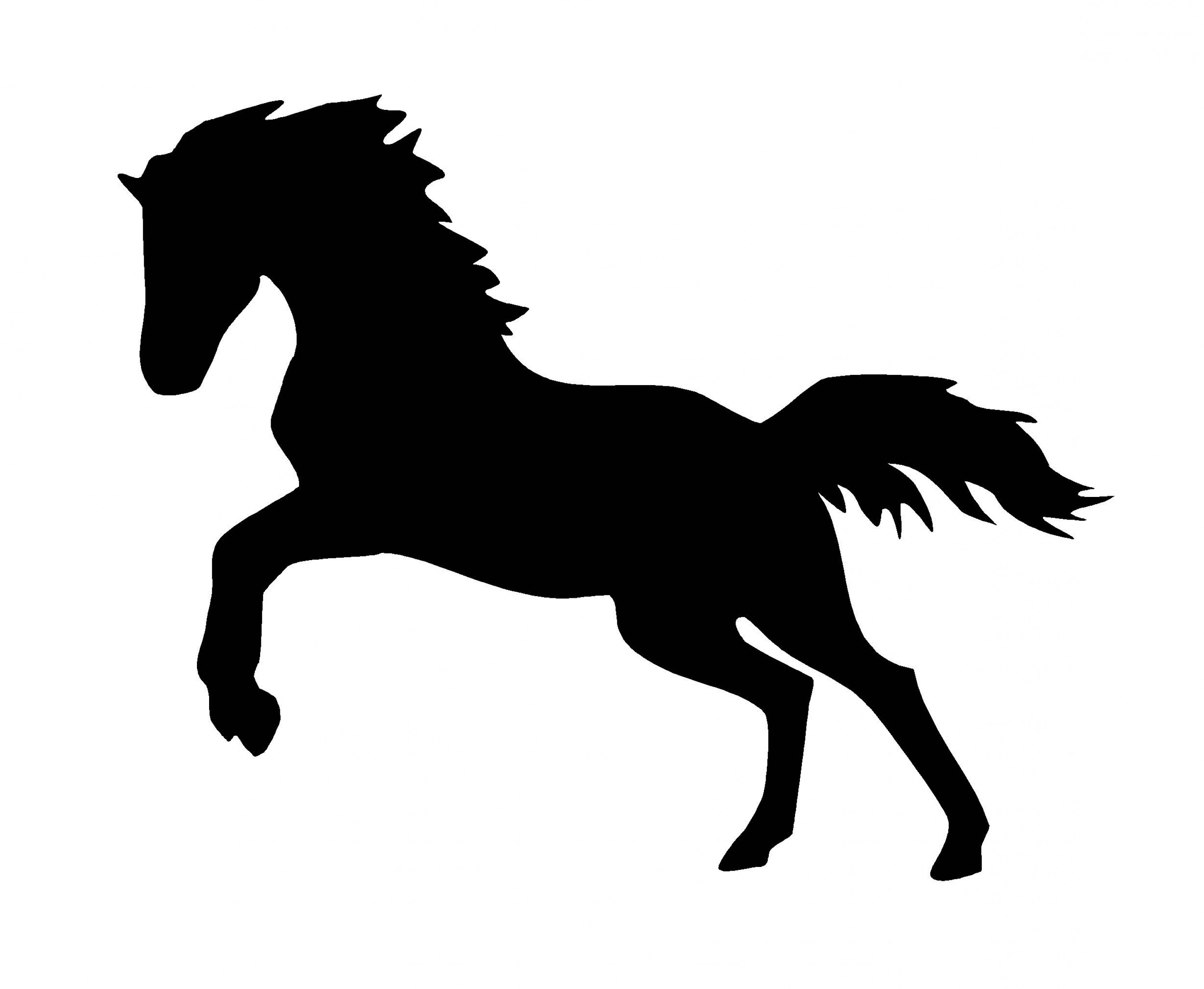 2971x2440 Horse Vector And Png Digital Handandbeak