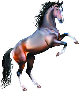 320x368 Horse Free Vector Download