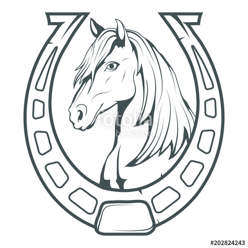 500x500 Horse Hand Drawn Horse Sketch Of Horse Head Vector Artwork