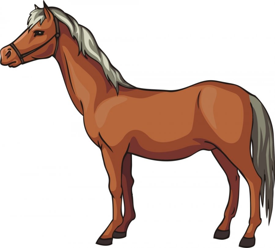 Free Horse Vector Graphics 900x812 Free Horse Vector Graphics