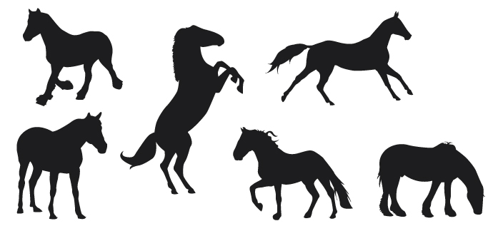 Horse Silhouettes Free Vector Free Vectors Ui Download 690x324 Horse Silhouettes Free Vector Free Vectors Ui Download
