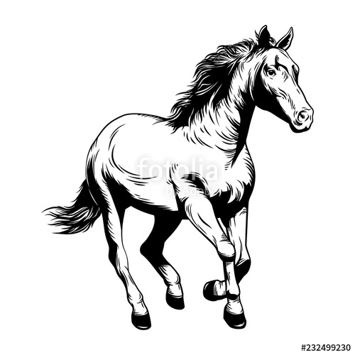 Horse Vector Illustration Horse Racing Stock Image And Royalty 500x500 Horse Vector Illustration Horse Racing Stock Image And Royalty