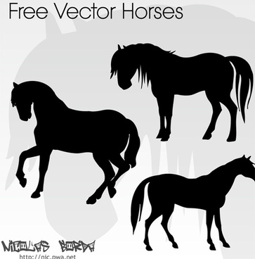 Horse Free Vector Download 363x368 Horse Free Vector Download