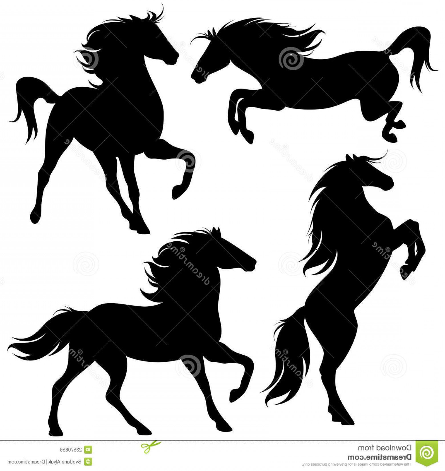 Royalty Free Stock Image Horses Vector Set Image Newwaysys 1560x1651 Royalty Free Stock Image Horses Vector Set Image Newwaysys