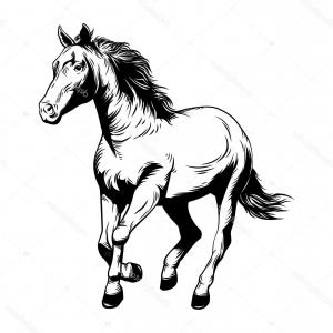 Royalty Free Stock Photos Running White Horse Vector Drawing Image 300x300 Royalty Free Stock Photos Running White Horse Vector Drawing Image