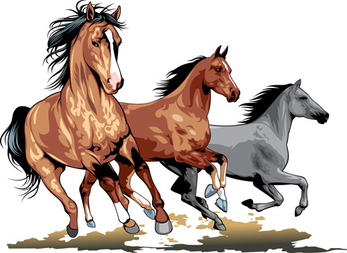 Running Horses Free Vector Free Vector Download 500x365 Running Horses Free Vector Free Vector Download