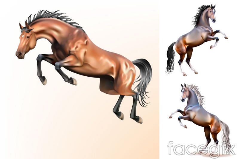 800x533 Dynamic Horse Vector Illustration Over Millions Vectors, Stock