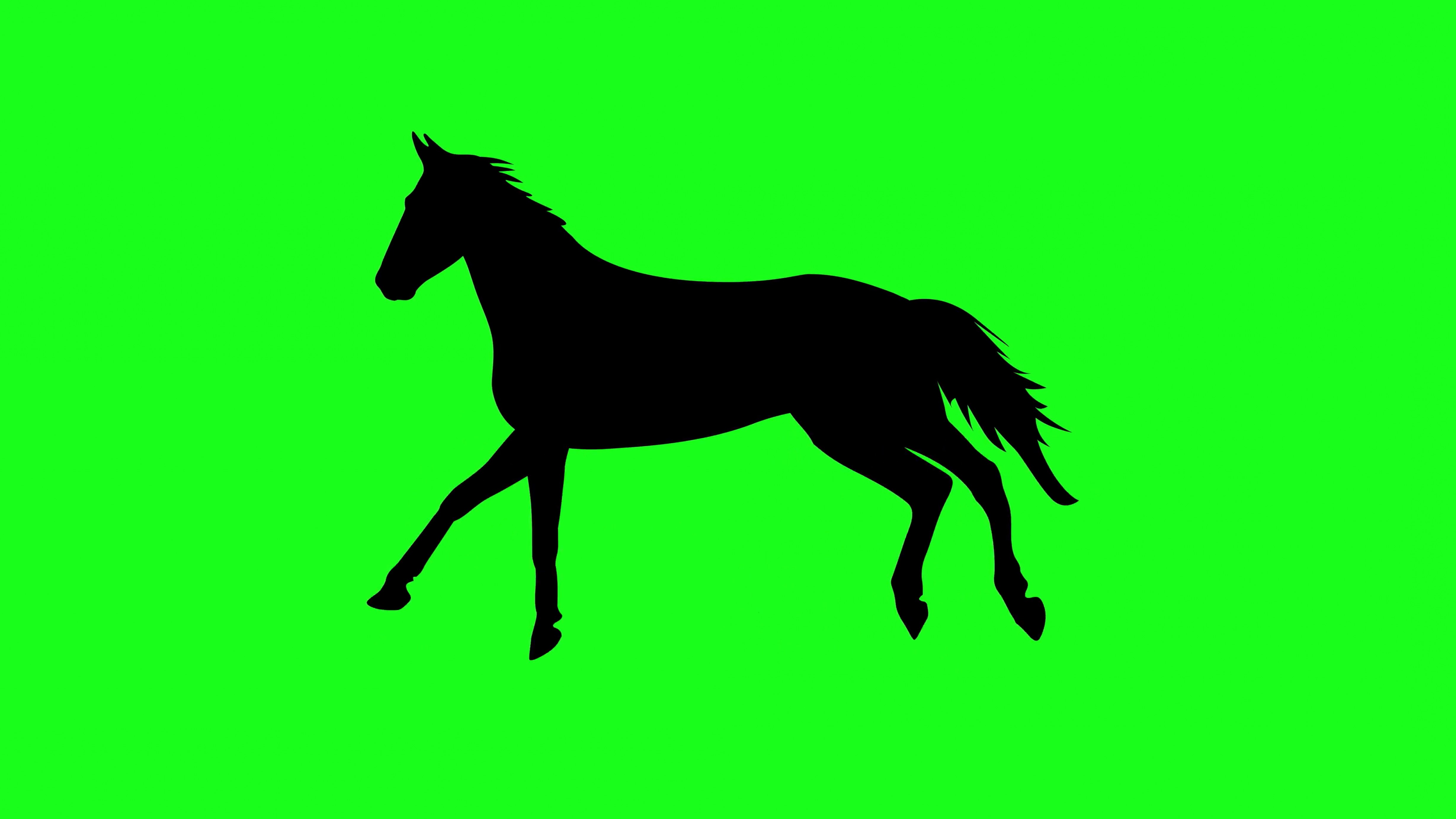 4915x2764 Running Horse Vector Silhouette In Water Studiogrfx