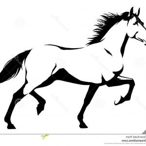 300x300 Stock Illustration Black White Linear Paint Draw Horse Vector