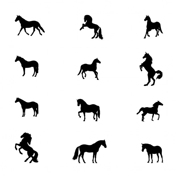 626x626 Vectors Of Horses Pony Free Vector Graphics Everypixel