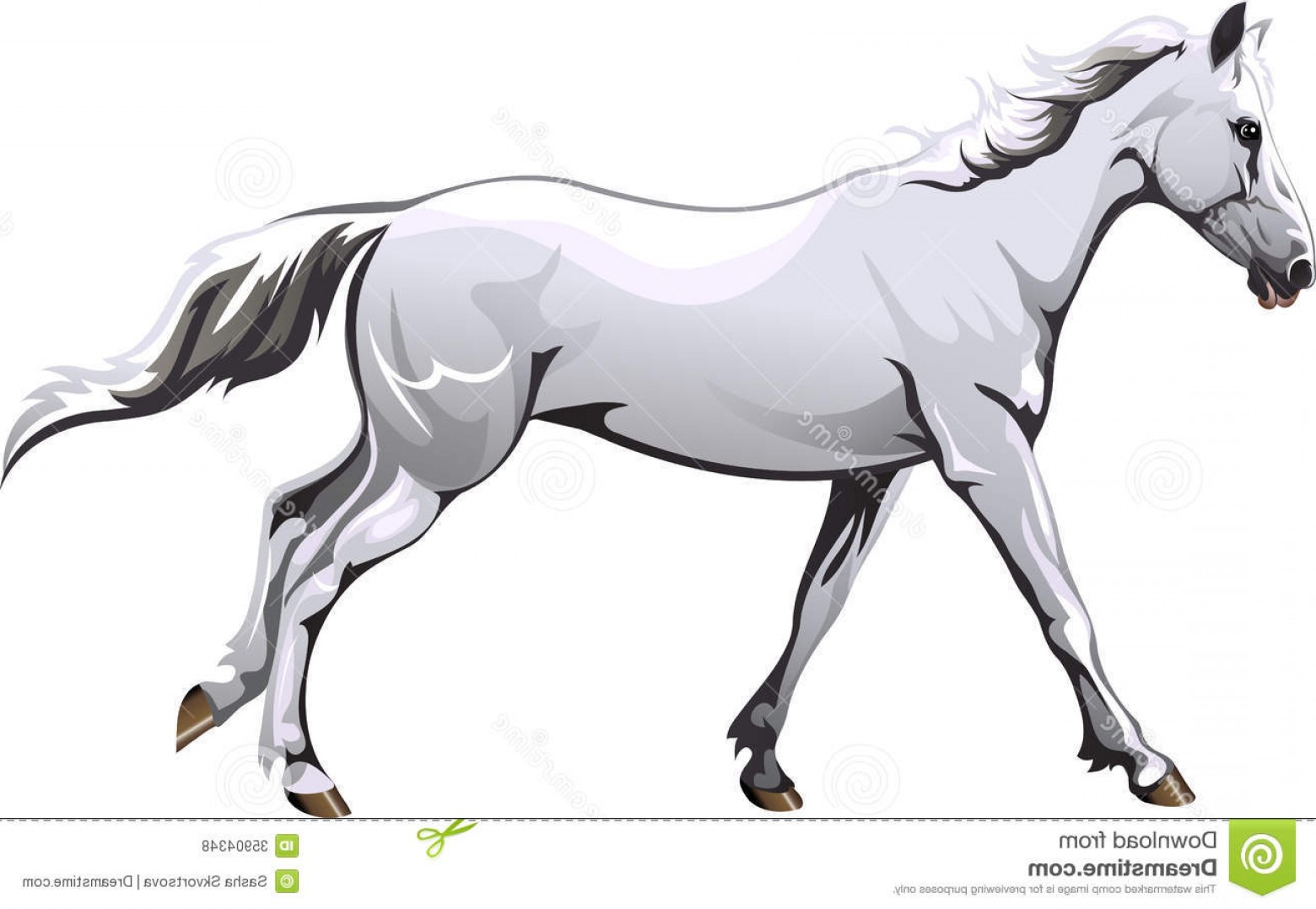 1560x1078 White Horse Vector Art Hoodamathrun