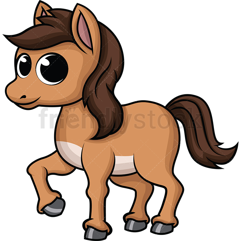 800x800 Cute Baby Horse Cartoon Vector Clipart
