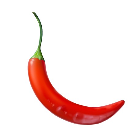 Realistic Image Of Red Hot Chilli Pepper Vector Royalty Free 450x450 Realistic Image Of Red Hot Chilli Pepper Vector Royalty Free