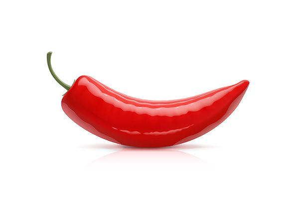 Red Hot Chili Pepper Vector Illustration Illustrations Pseudo 600x424 Red Hot Chili Pepper Vector Illustration Illustrations Pseudo